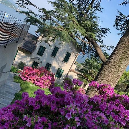 벨지라테 Giardini Magnolia 아파트 외부 사진