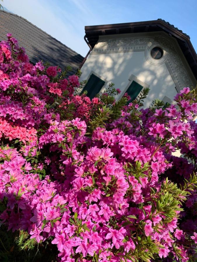 벨지라테 Giardini Magnolia 아파트 외부 사진