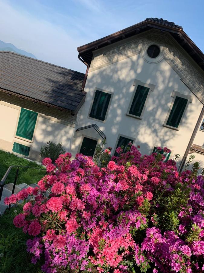 벨지라테 Giardini Magnolia 아파트 외부 사진