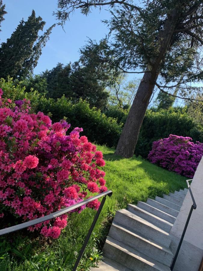 벨지라테 Giardini Magnolia 아파트 외부 사진